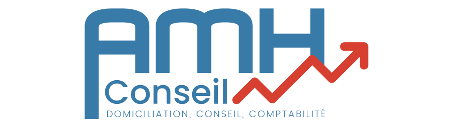 Logo AMH CONSEIL